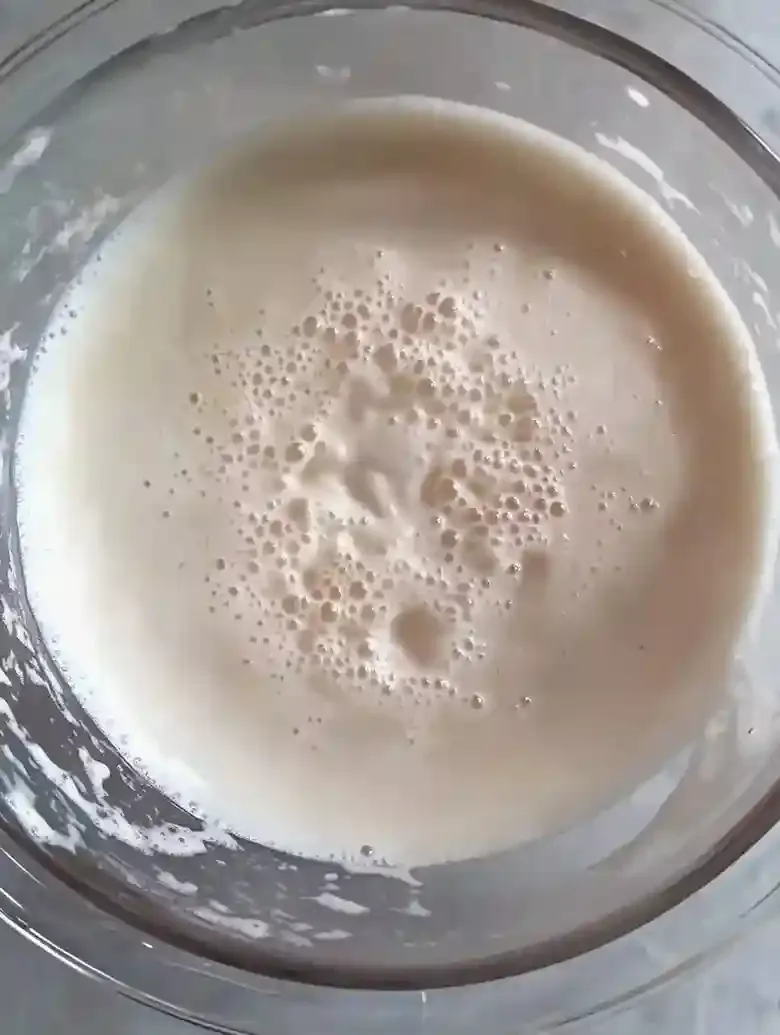 Homemade Gluten Free Sourdough Starter