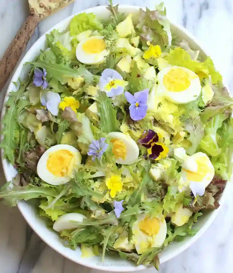 Fresh Dandelion Salad with Eggs